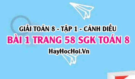 Giải bài 1 trang 58 Toán 8 Tập 1 SGK Cánh Diều